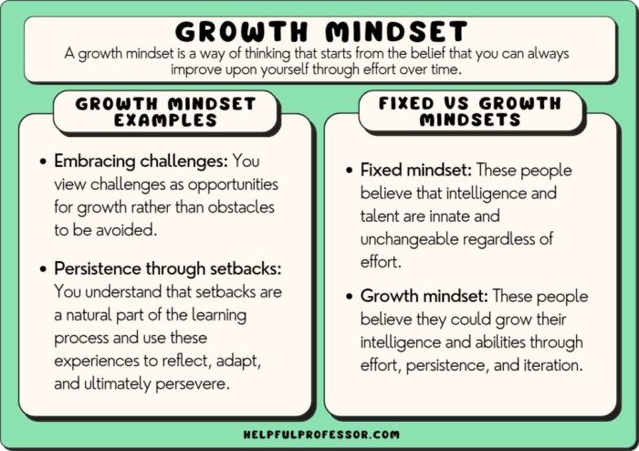 How to Meditate for Developing a Growth Mindset